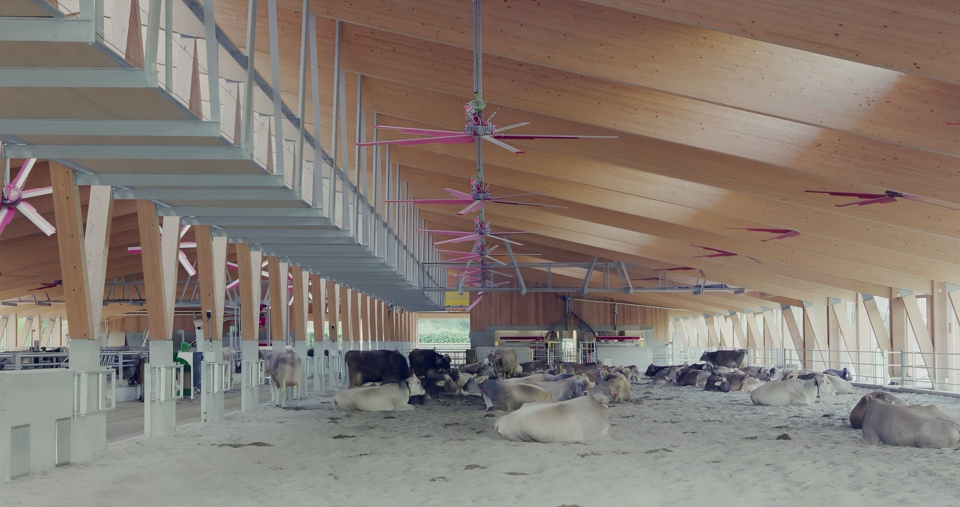 The big zip: architettura e benessere animale in Valtellina