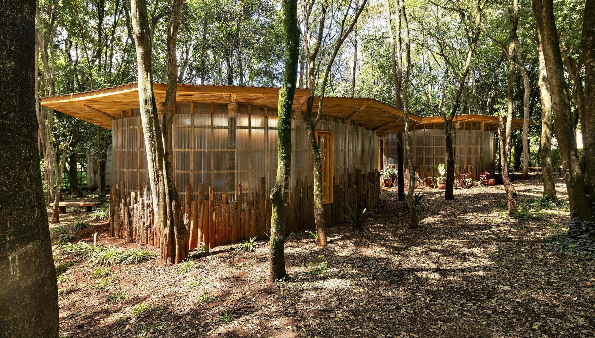 A living school in Nairobi’s woods