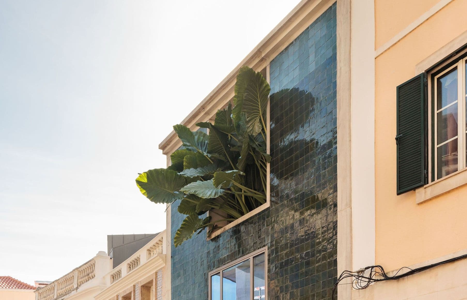 Balcone / Rua São Francisco de Borja di Bak Gordon