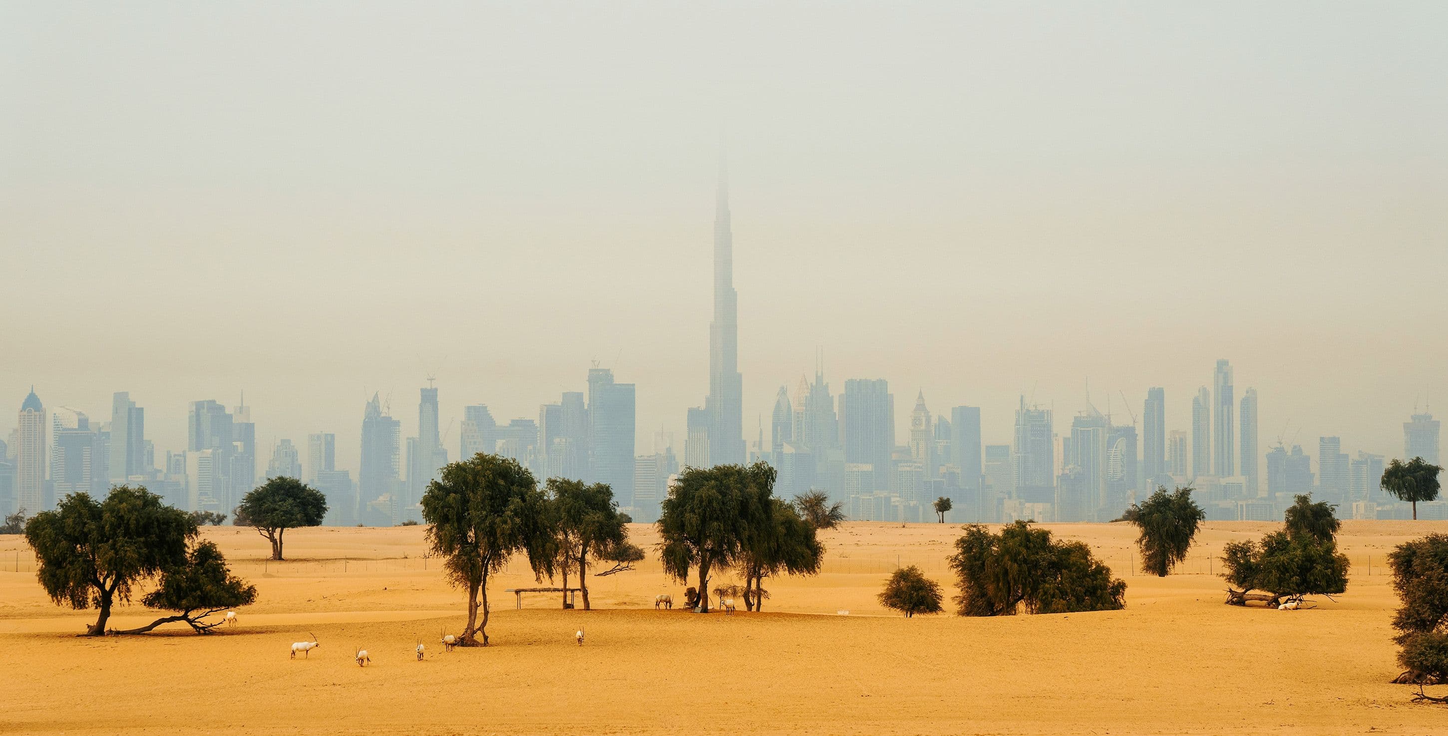 Dubai: beyond the skyline