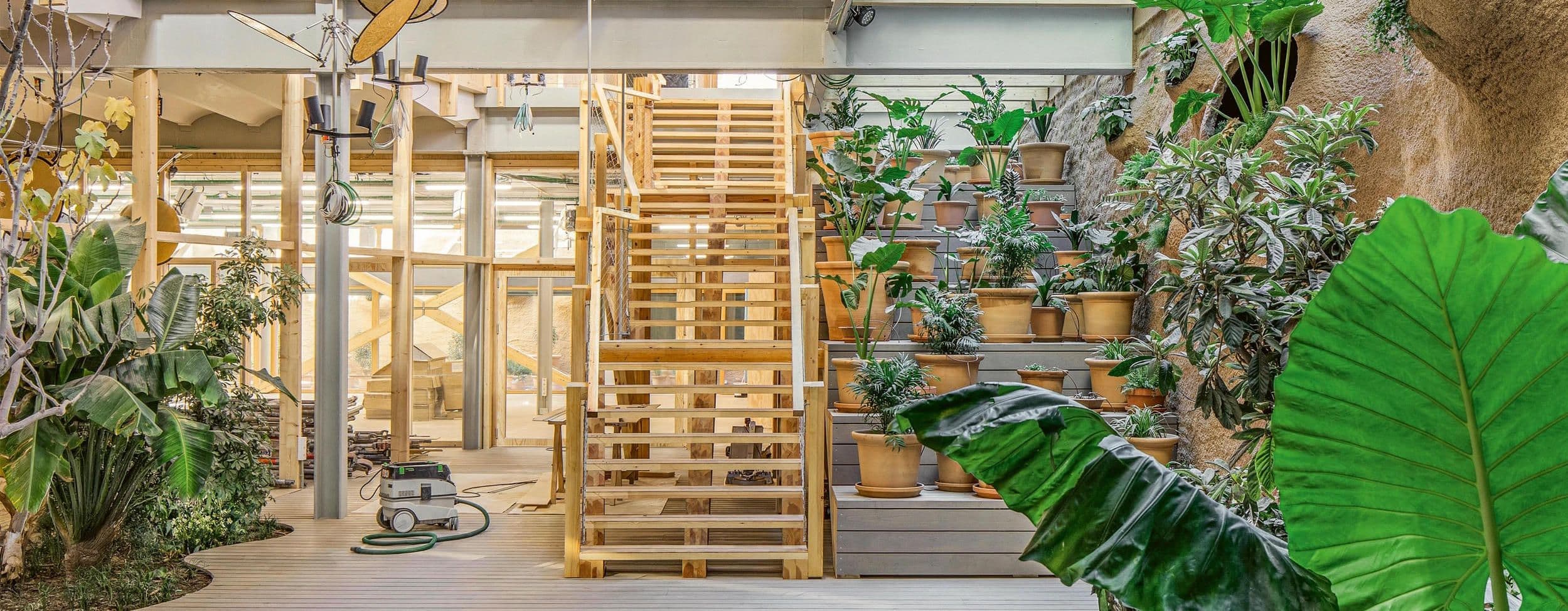Infinito delicias: making sustainability exciting