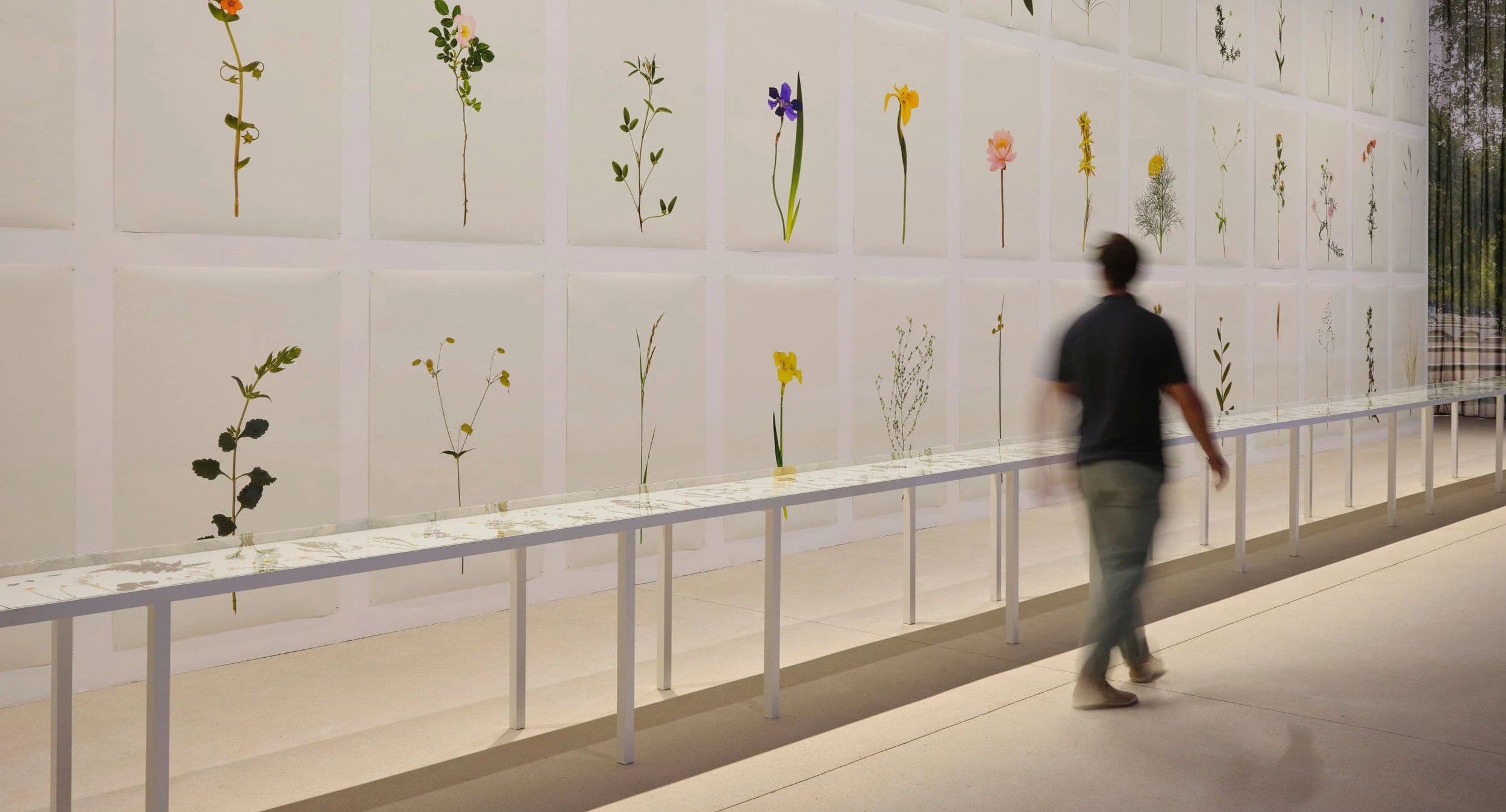 Bas Smets’ augmented landscapes at Luma Arles