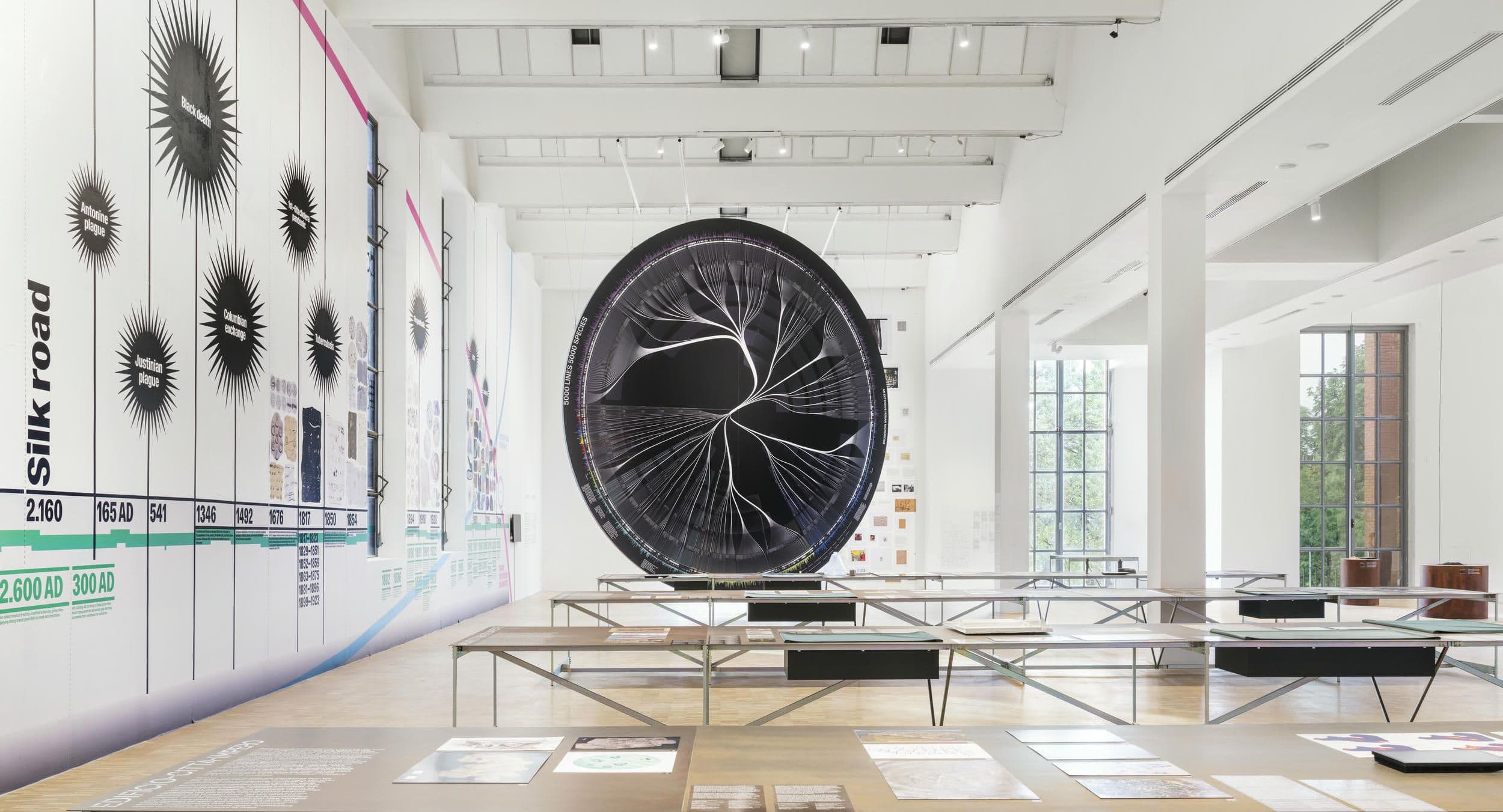 La fiera delle diseguaglianze