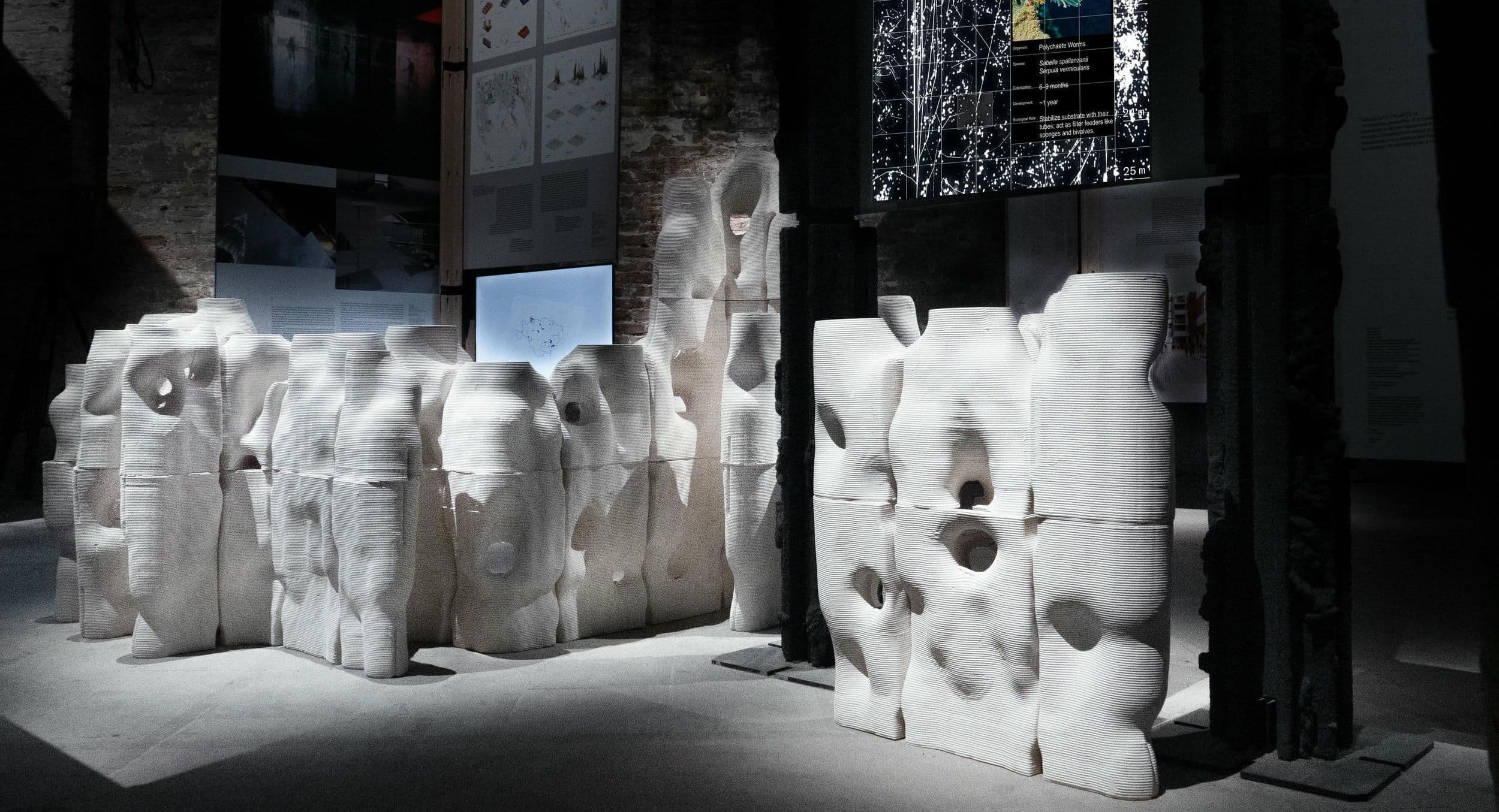 Sea Oasis: survival architecture